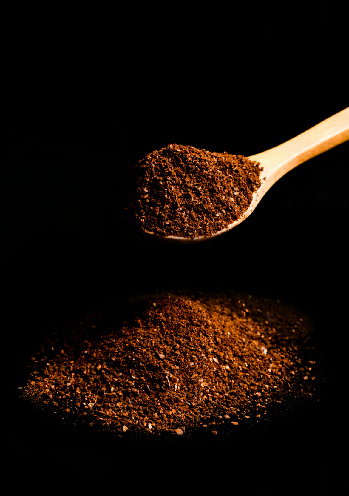 Mushroom Coffee Fusion - Lion’s Mane & Chaga 16oz